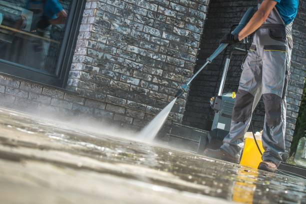 Best Roof Washing  in St Bonaventure, NY