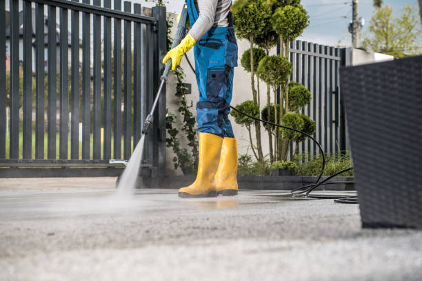 Best Gutter Cleaning  in St Bonaventure, NY