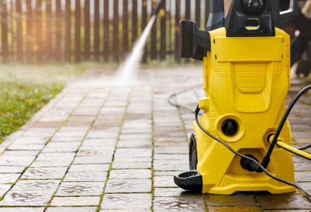 Best Animal Enclosure Cleaning  in St Bonaventure, NY