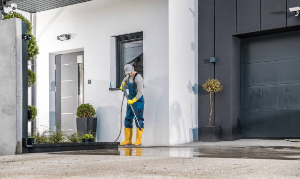 Best Animal Enclosure Cleaning  in St Bonaventure, NY